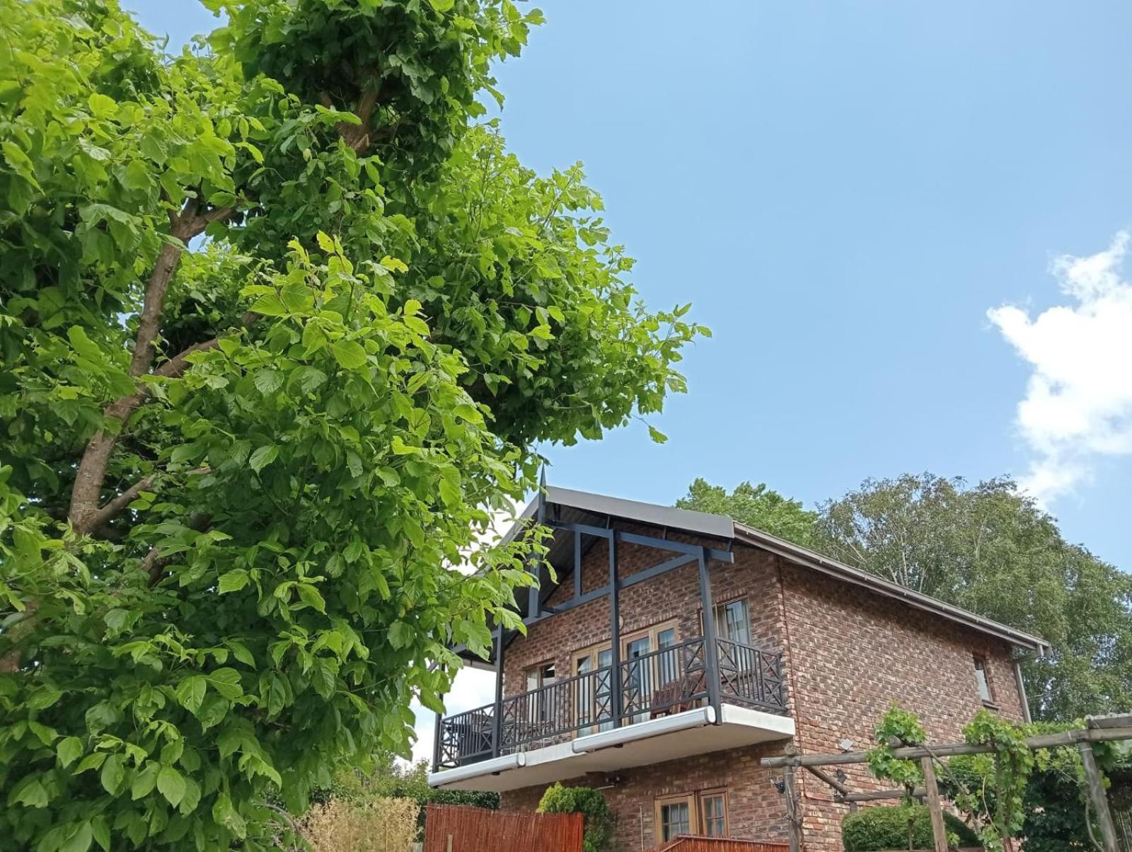 Fairview Cottages Кларенс Экстерьер фото